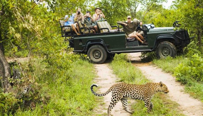 relaxing safari holiday sri lanka