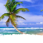 Best Beaches in Srilanka