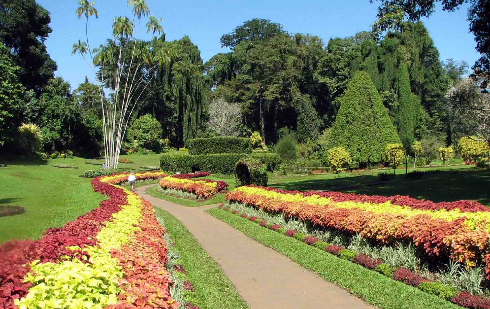 peradeniya botanical gardens