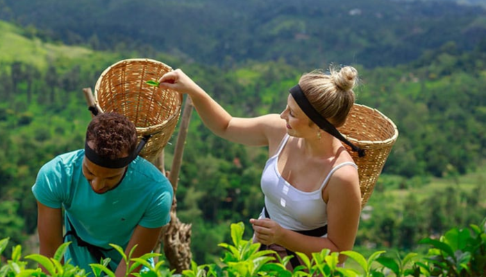 Tea-Tour-in-Sri-Lanka