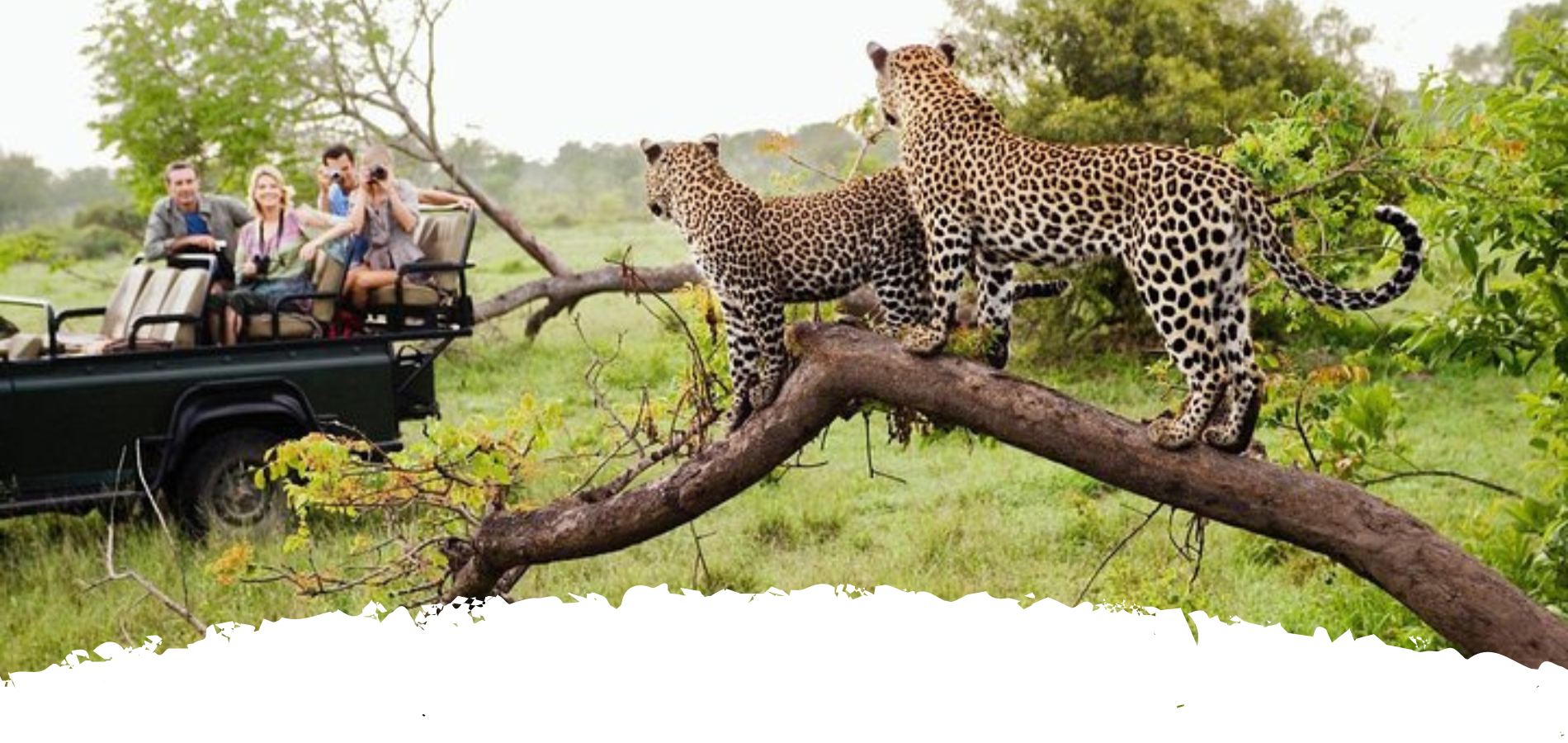 yala national park