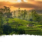 Hill Country in Sri Lanka