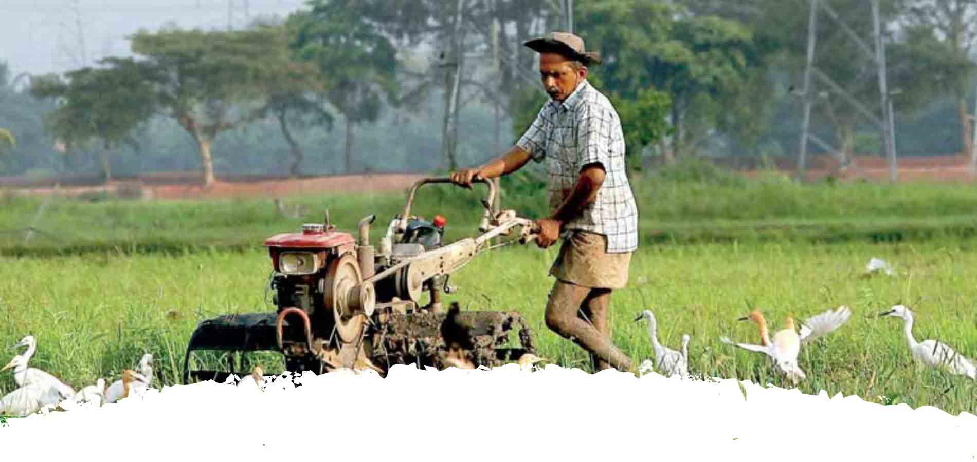 Industries in sri lanka