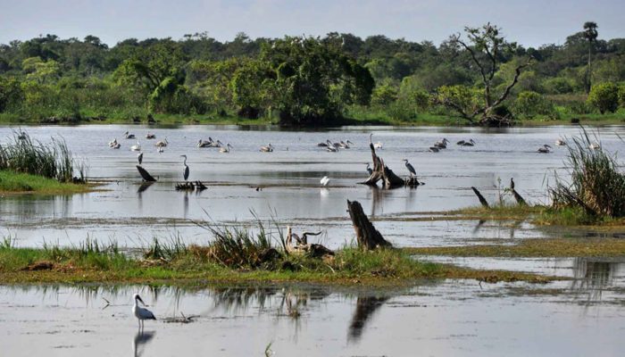 Kumana national park