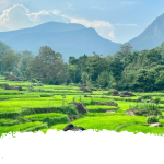 Meemure village in Sri Lanka