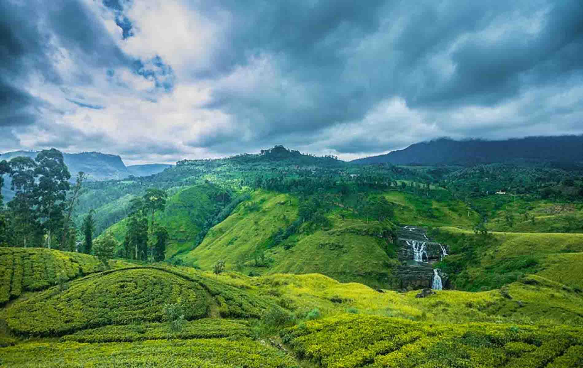 Nuwara Eliya