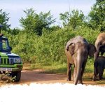 The Jeep safari in Sri Lanka