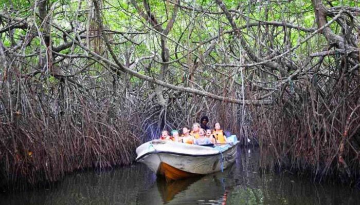 Madu ganga river safri