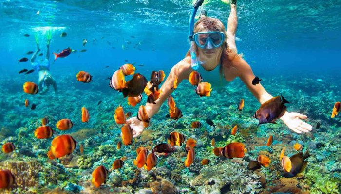 Snorkeling and scuba diving