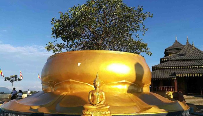 Sacred Bodhi Tree