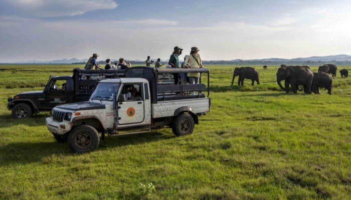 yala national park