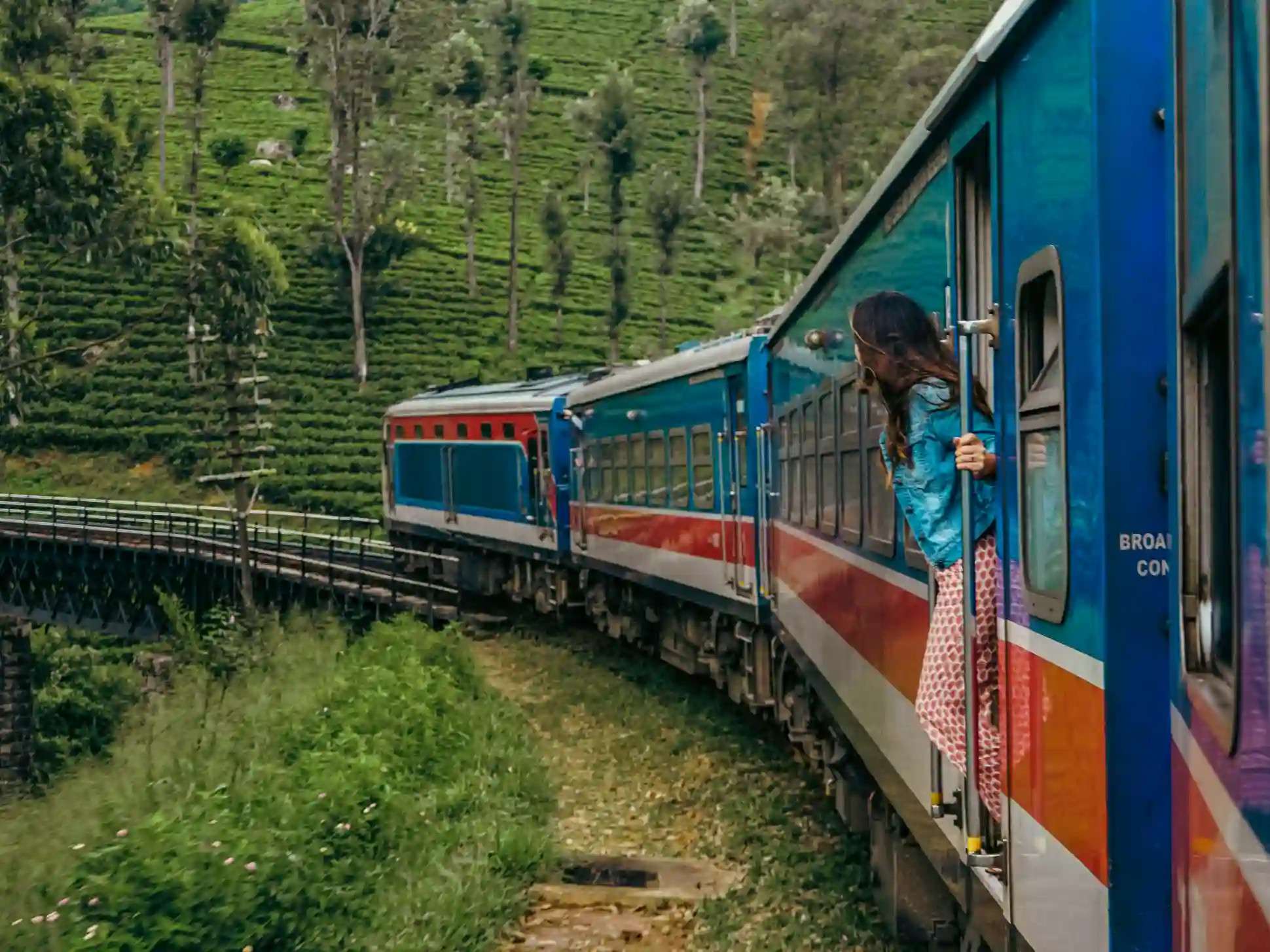 Scenic train ride through the tea hills