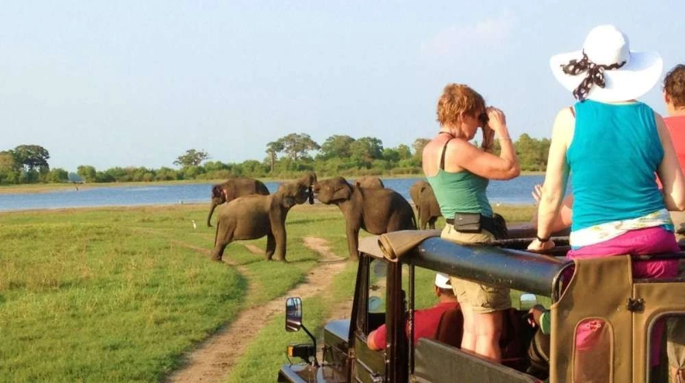 Sri Lanka family holiday, Sri Lanka itinerary with kids, Sri Lanka family tour, Sri Lanka family vacation, Sri Lanka with children, Sri Lanka kids itinerary, family trip to Sri Lanka
