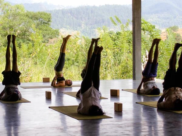 Sri Lanka tailor-made Ayurveda tour