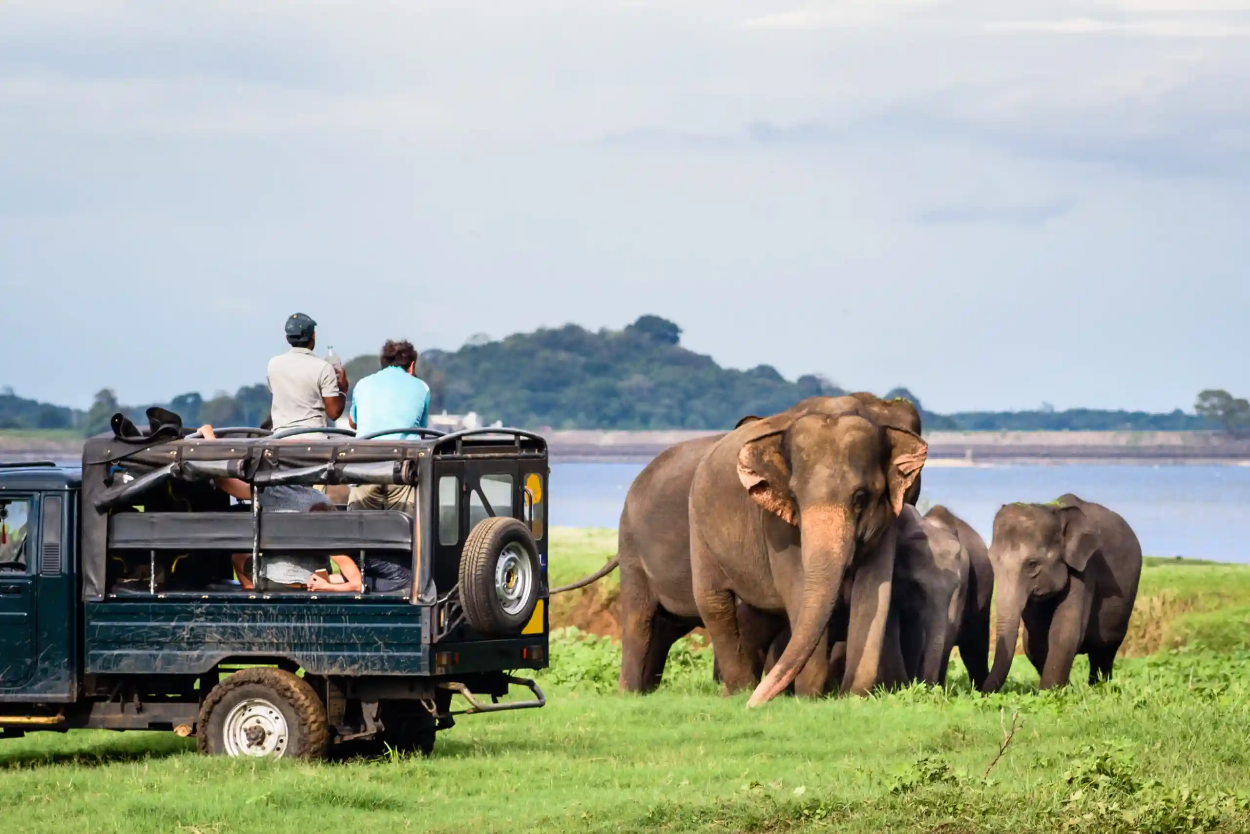 Udawalawe, Minneriya, Kaudulla