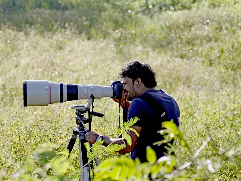Nature lovers, couples, families and photographers