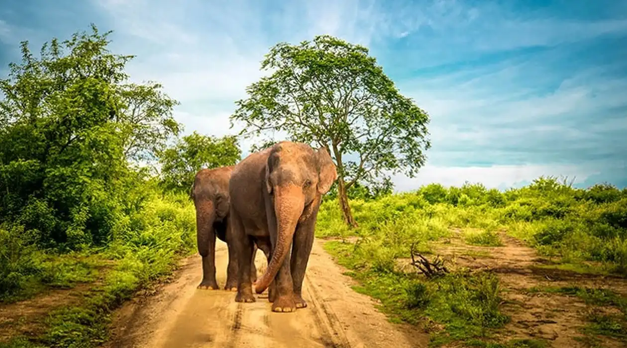Eco-conscious travellers