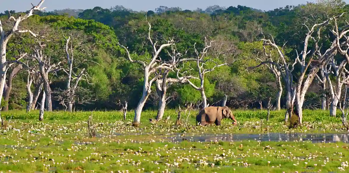 Nature lovers and relaxed travellers
