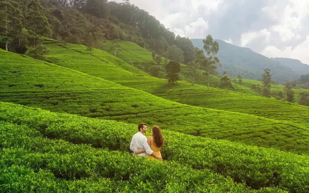 Sri Lanka honeymoon itinerary, Sri Lanka honeymoon tour, Sri Lanka honeymoon package, honeymoon in Sri Lanka, romantic Sri Lanka itinerary, Sri Lanka couple tour, Sri Lanka honeymoon places
